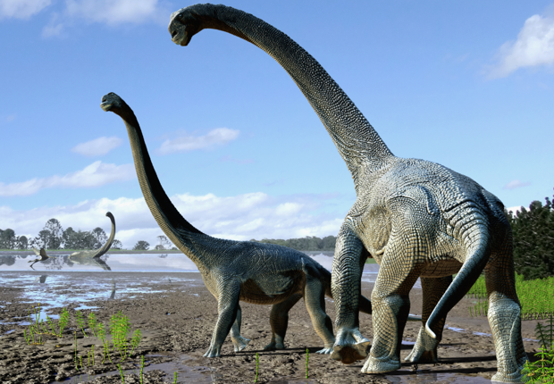 Savannasaurus-elliottorum-U10107371408XjF-U201052008664MtE-620x439@abc